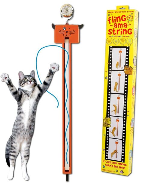 Automatic cat toy