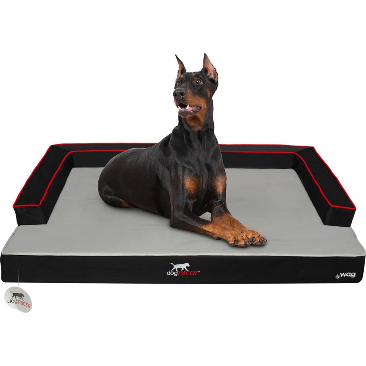 Indoor outdoor pet recovery dog bed